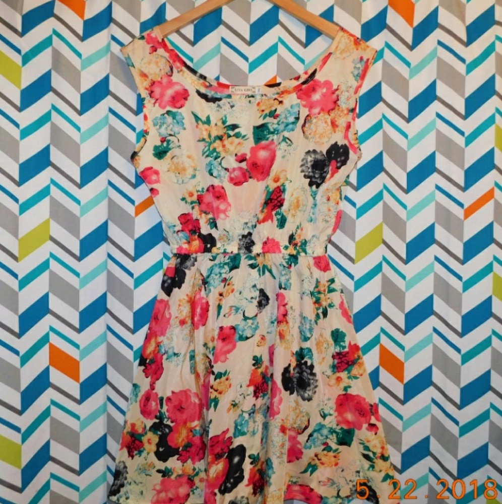 Floral Skater Dress